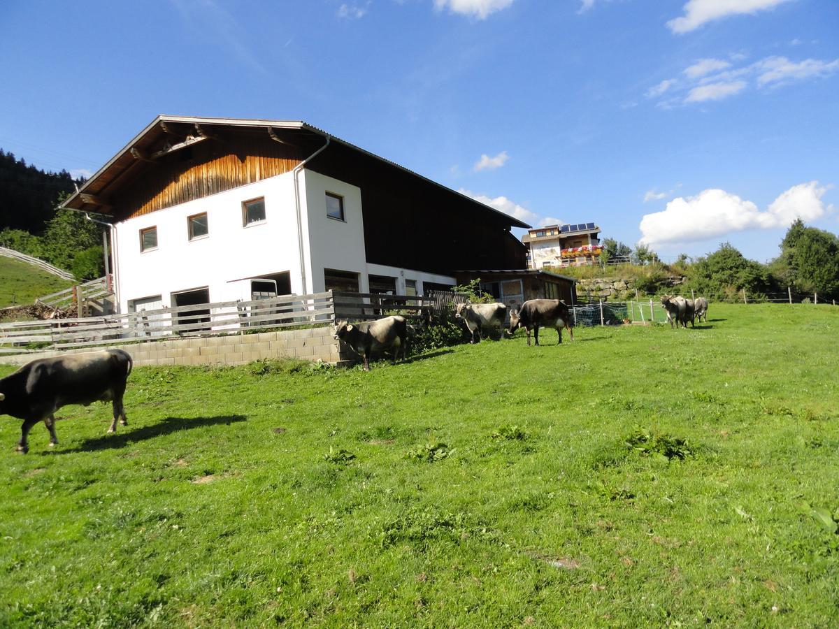 Haus Hochzeigerblick Villa Wenns Buitenkant foto